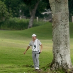 otoole study his shots in 18 ,his ball in the root of the tree